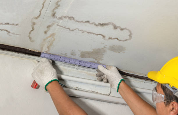 Reliable Mold Remediation contractor in Severance, CO by Local Water Damage Repair